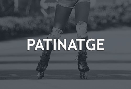 PATINATGE